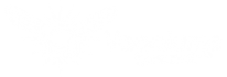logo_vagalume_002